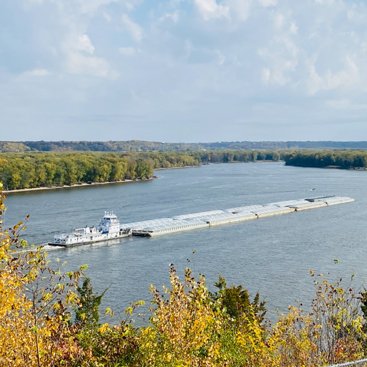 Where to Buy Bulk Mulch in Bettendorf & Davenport, IA - Raney Tree Care