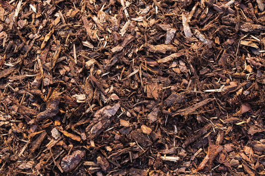 A photo of Mulch in Moline, IL - Spring Mulching: When and How Much for Quad Cities Gardens
