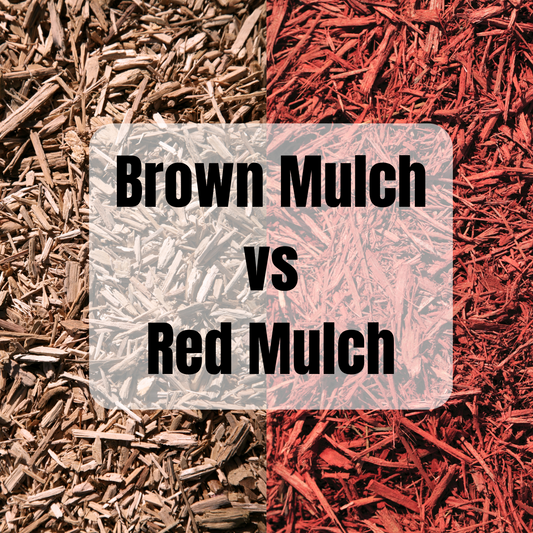 Choosing the Perfect Mulch for Your Landscape: Brown Mulch vs. Red Mulch