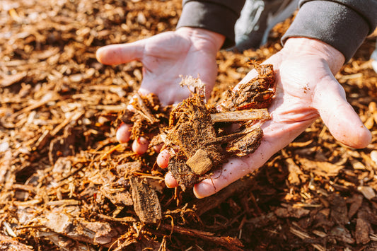 How Much Should I Pay for Bulk Mulch in 2025? A Quad Cities Homeowner's Guide - Raney Tree Care