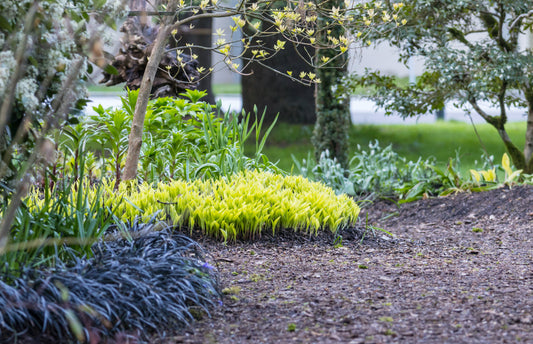 bulk mulch Moline IL, mulch delivery Moline, best mulch supplier Quad Cities - Raney Tree Care