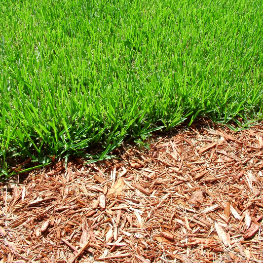 How Mulch Helps Moline Homeowners Save Time and Money - Mulch in Moline, IL