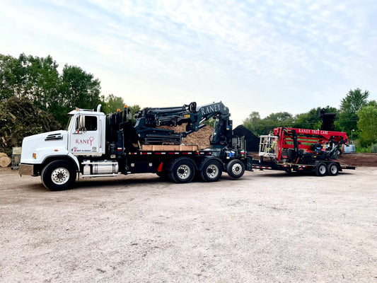 Discover the Quality and Expertise of Raney Tree Care: Moline's Premier Tree and Mulch Service Provider