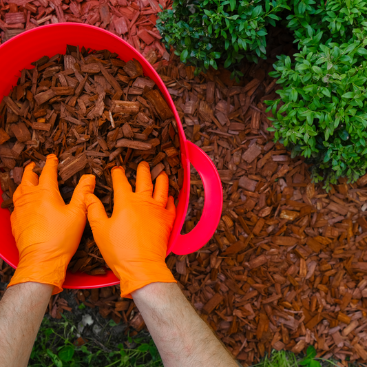 The Benefits of Using Locally Sourced Bulk Mulch in Your Garden - Raney Tree Care