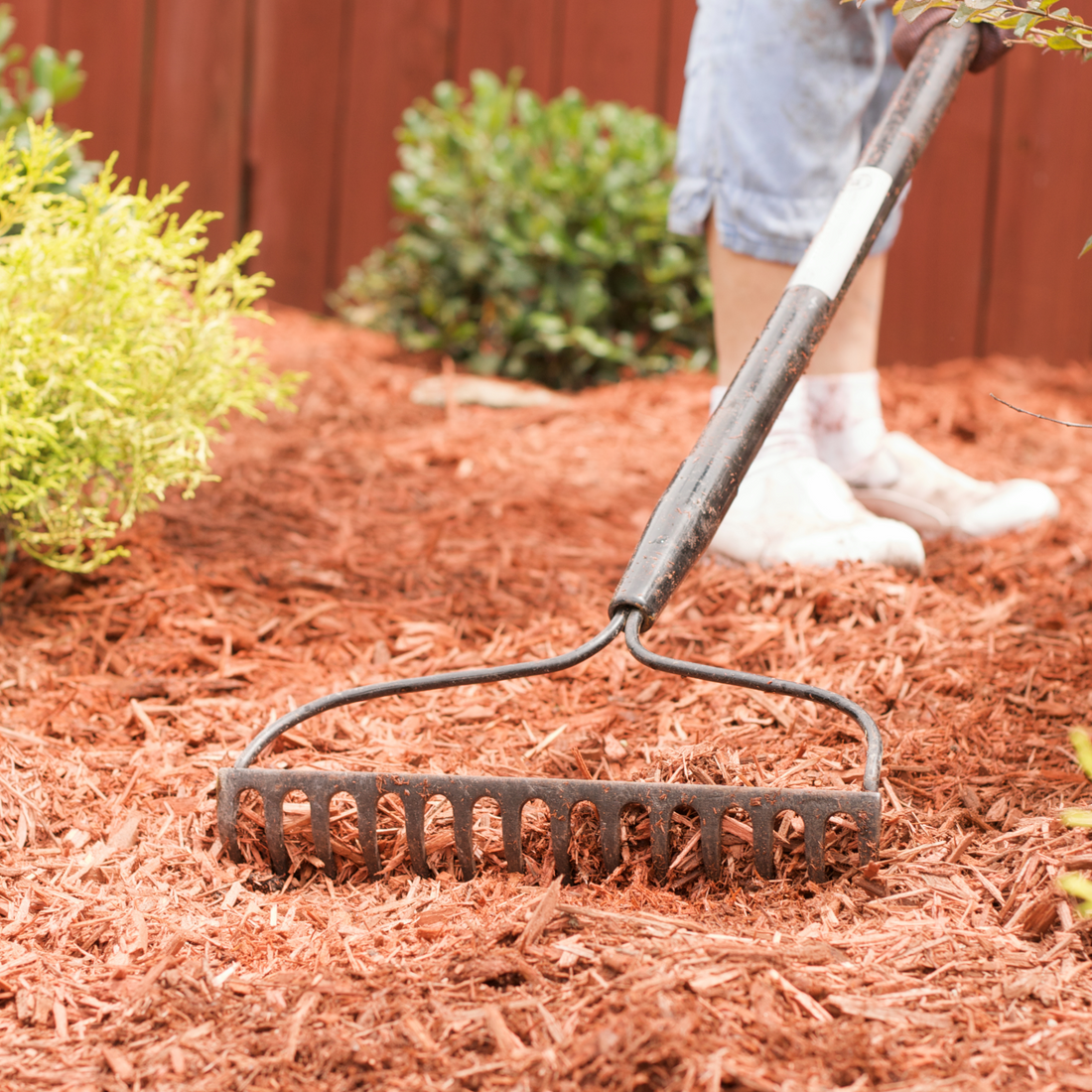 The Impact of Mulch Colors on Your Garden's Aesthetics and Plant Health