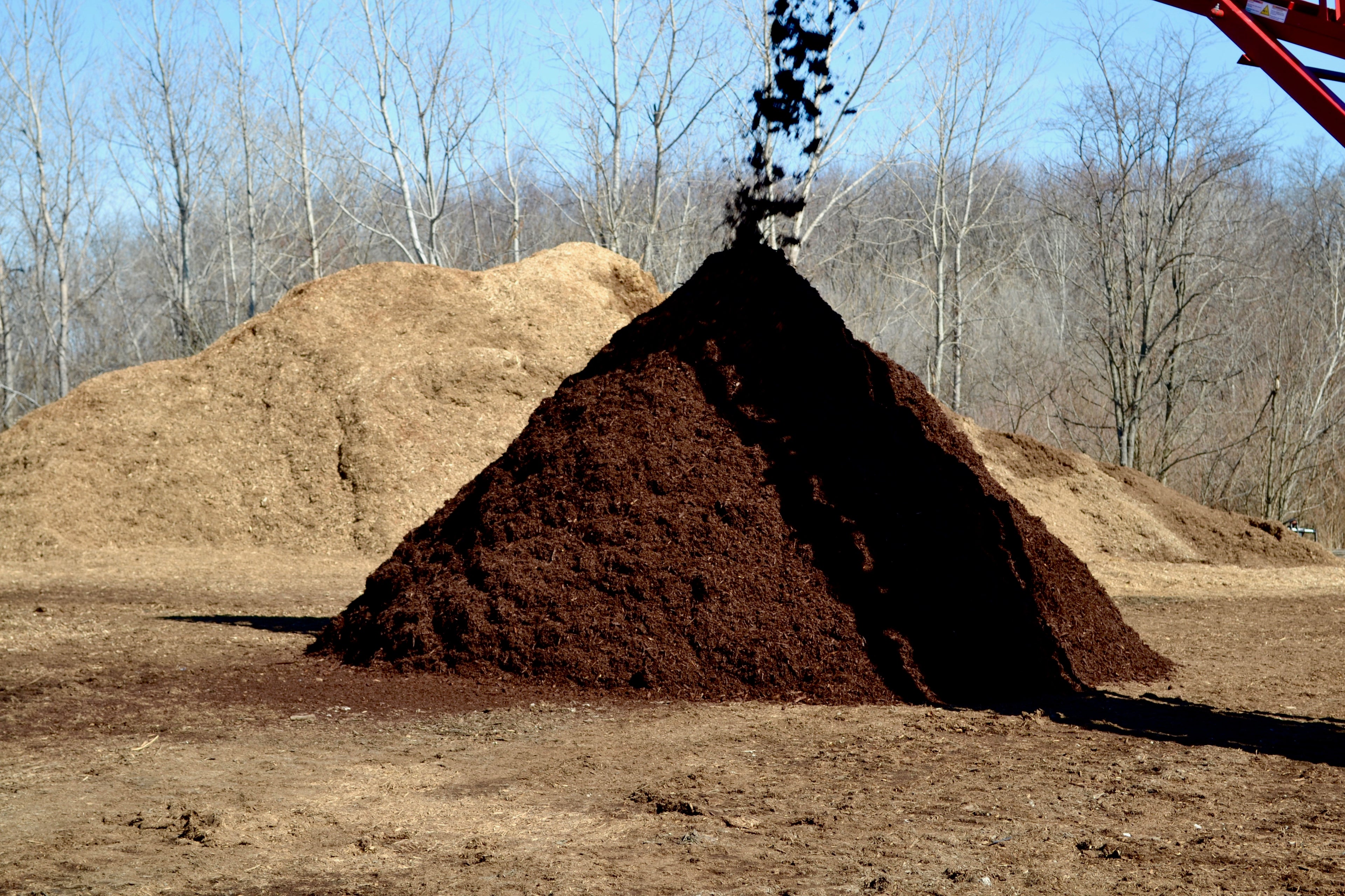 Fresh Dyed Brown Mulch Pouring from Conveyor Belt - Rich Color & Quality