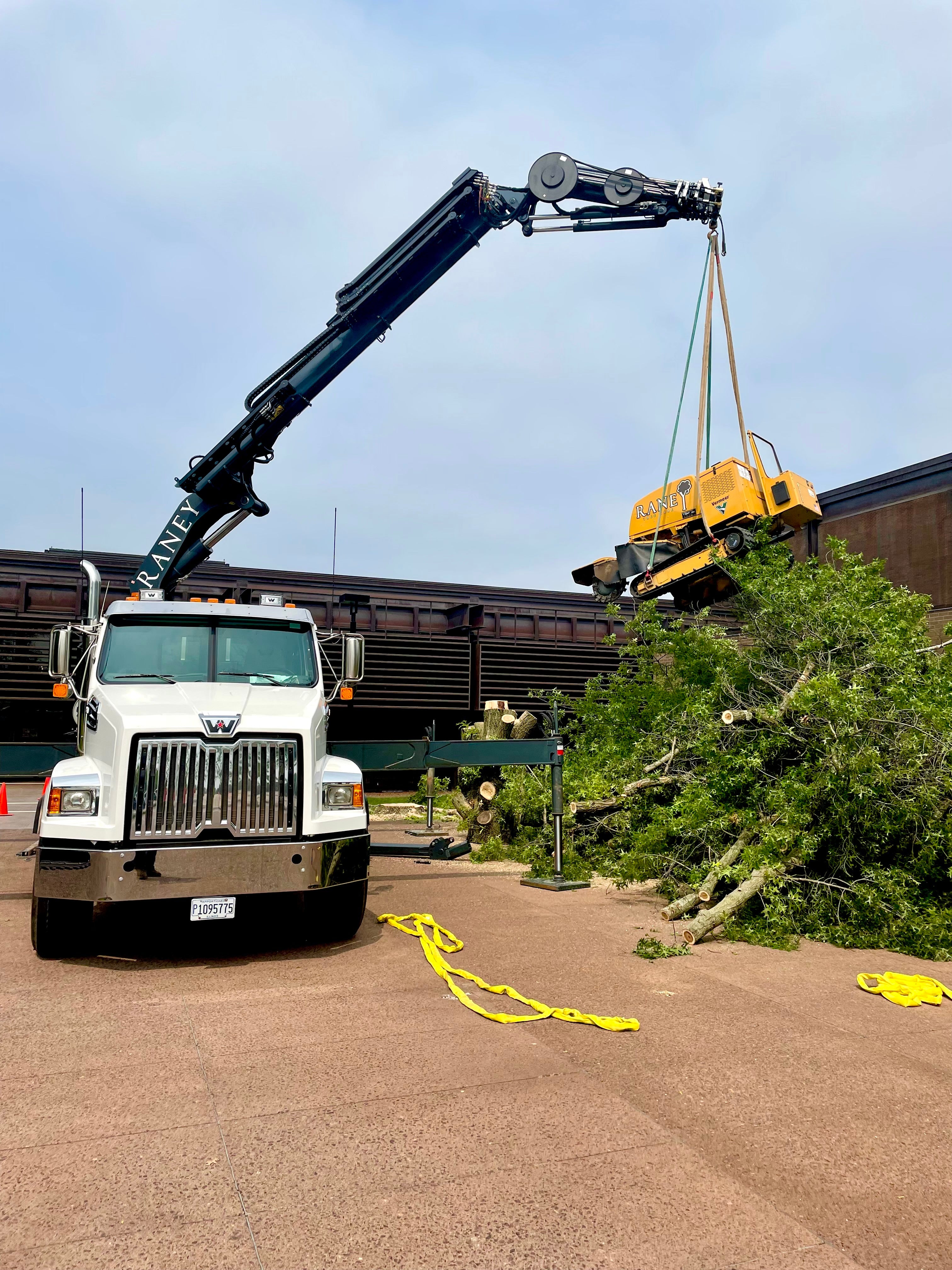 White Raney Truck Using Copma Crane to Lift Yellow Stump Grinder Over Large Brush Pile.